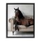 Stupell Industries Horse Lounging on Sofa Floating Frame By Lettered and Lined